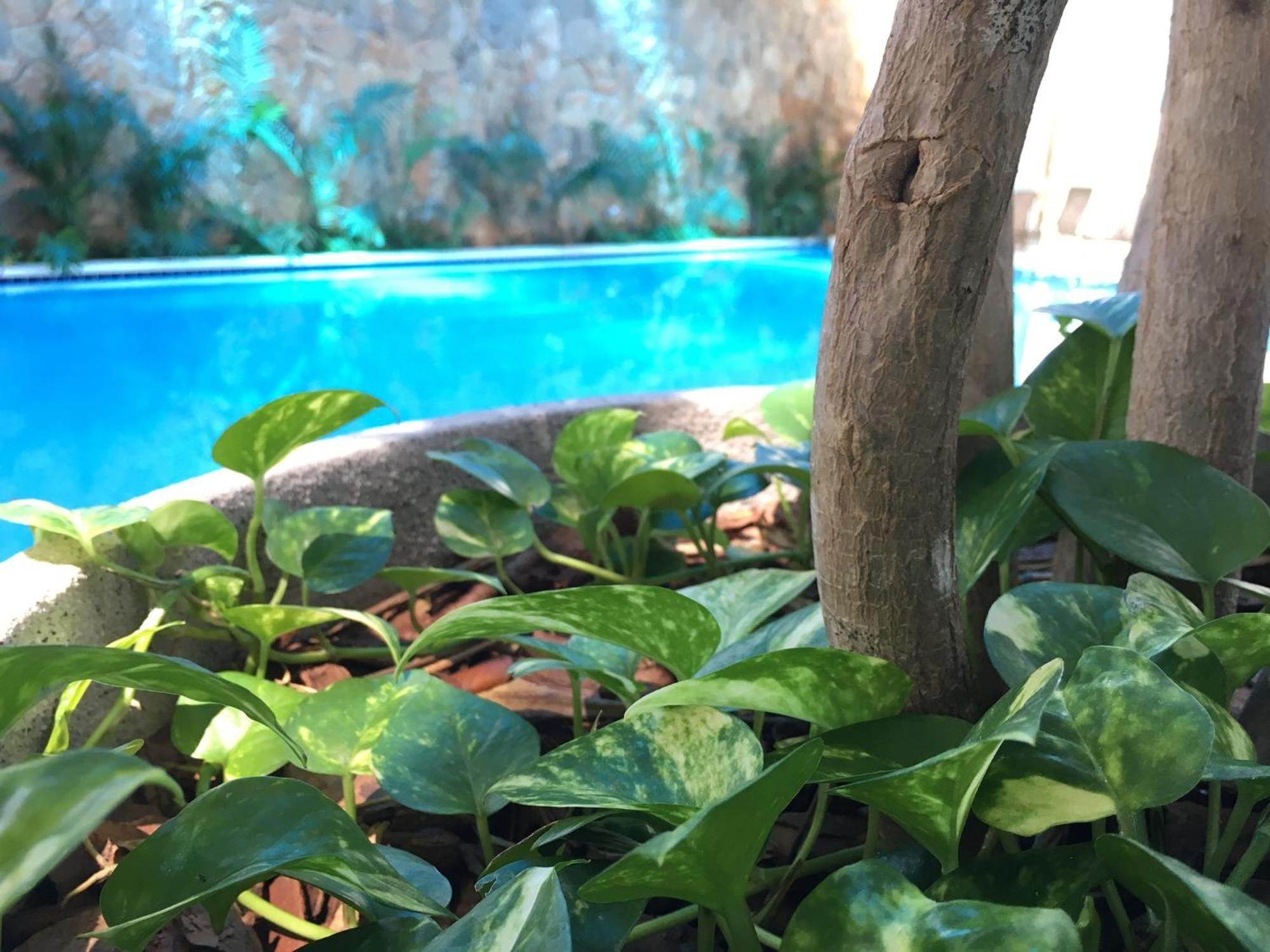 Hotel Fazenda Santa Monica Louveira Luaran gambar